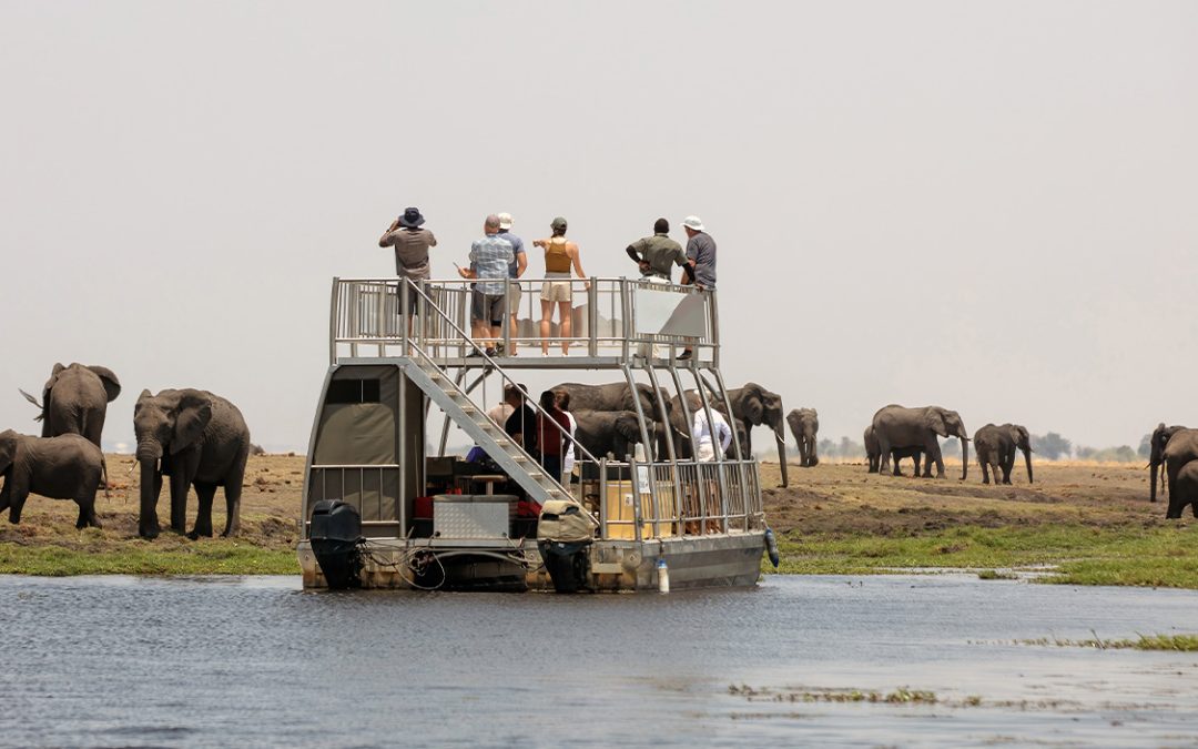 Chobe River Cruise